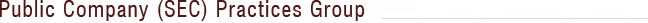 Public Company